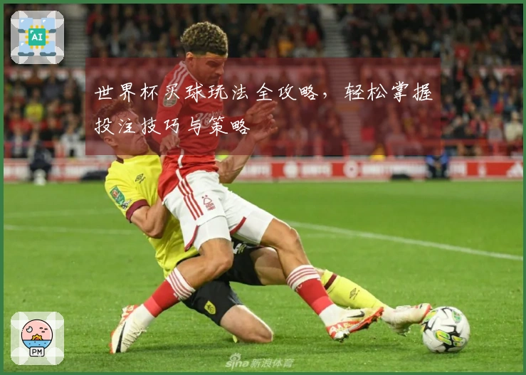 世界杯买球玩法全攻略，轻松掌握投注技巧与策略