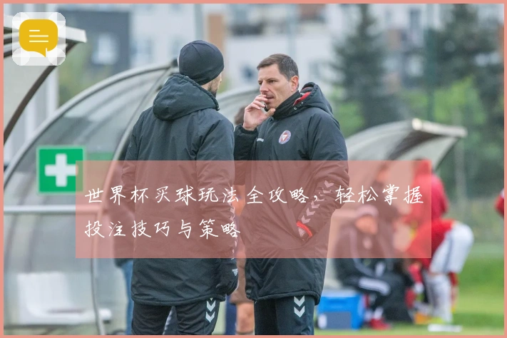 世界杯买球玩法全攻略，轻松掌握投注技巧与策略