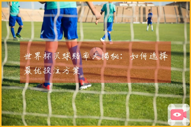 世界杯买球赔率大揭秘：如何选择最优投注方案
