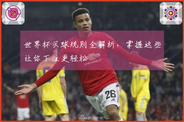 世界杯买球规则全解析，掌握这些让你下注更轻松