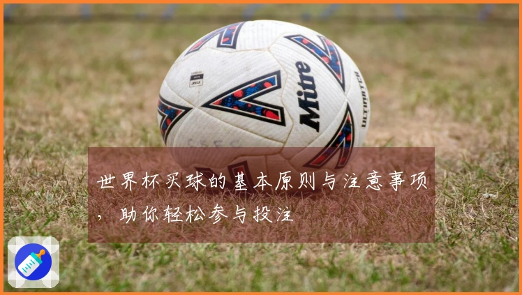世界杯买球的基本原则与注意事项，助你轻松参与投注