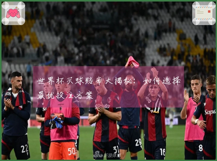 世界杯买球赔率大揭秘：如何选择最优投注方案