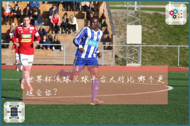 世界杯滚球买球平台大对比 哪个更适合你？