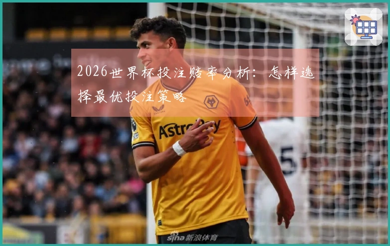 2026世界杯投注赔率分析：怎样选择最优投注策略