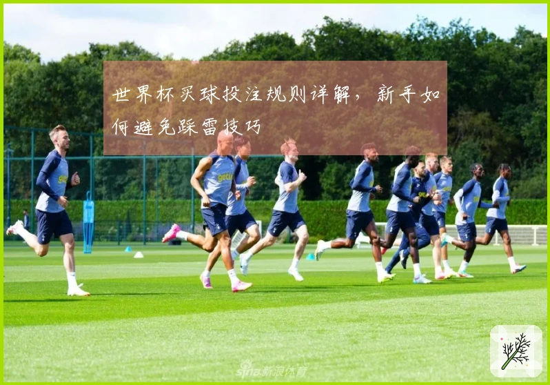 世界杯买球投注规则详解，新手如何避免踩雷技巧