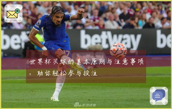 世界杯买球的基本原则与注意事项，助你轻松参与投注