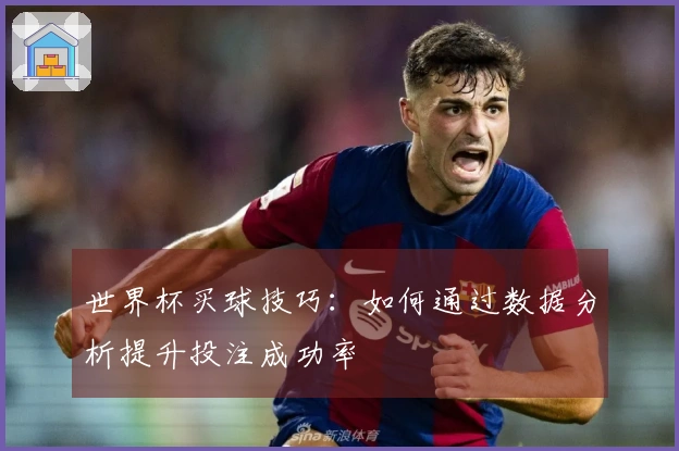 世界杯买球技巧：如何通过数据分析提升投注成功率