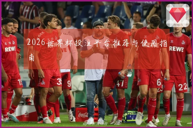 2026世界杯投注平台推荐与使用指南